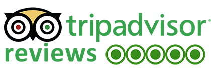 tripadvisor-reviews